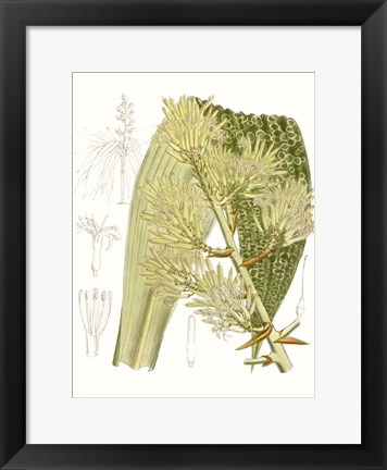 Framed Palm Melange VI Print