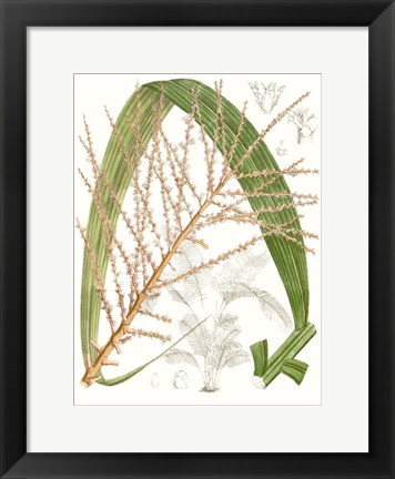 Framed Palm Melange VII Print