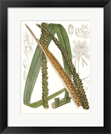 Framed Palm Melange IX Print