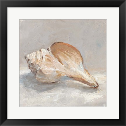 Framed Impressionist Shell Study III Print