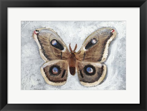 Framed Papillon de Nuit II Print