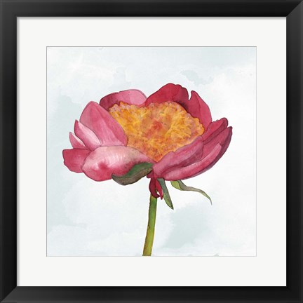 Framed Joyful Peony II Print