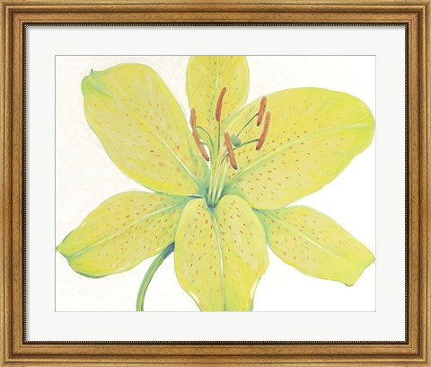 Framed Citron Tiger Lily I Print