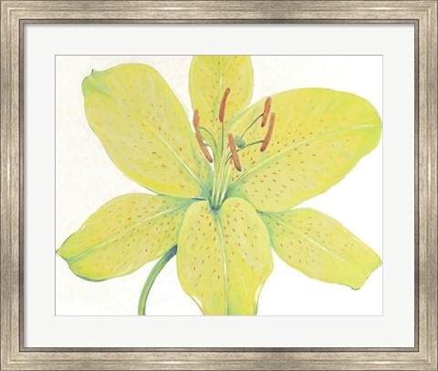 Framed Citron Tiger Lily I Print