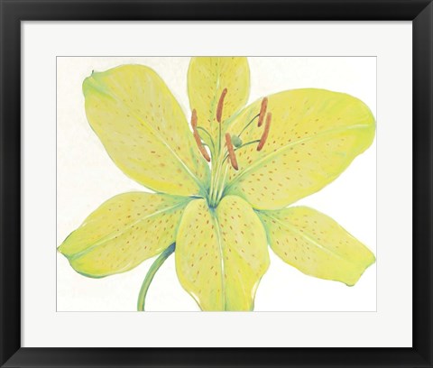 Framed Citron Tiger Lily I Print