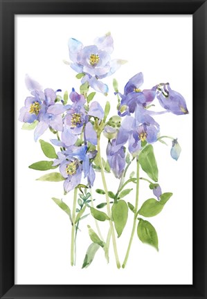 Framed Columbine Spray I Print