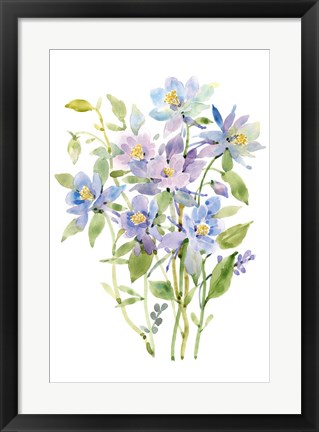 Framed Columbine Spray II Print