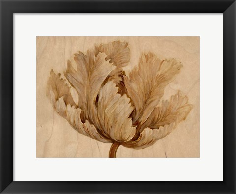 Framed Sepia Tulip on Birch I Print