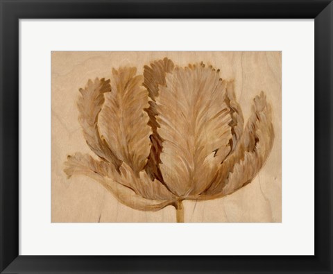 Framed Sepia Tulip on Birch II Print