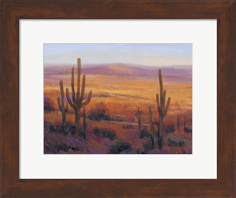 Framed Desert Light II Print