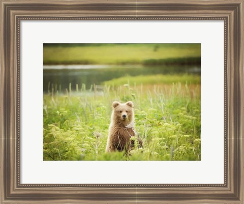 Framed Bear Life VII Print