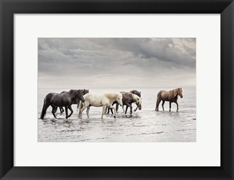 Framed Water Horses IV Print