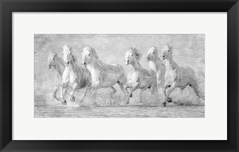 Framed Water Horses V Print