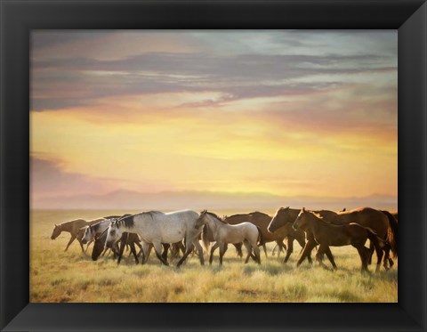 Framed Sunkissed Horses I Print