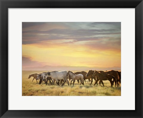 Framed Sunkissed Horses I Print