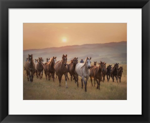 Framed Sunkissed Horses II Print