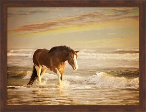 Framed Sunkissed Horses V Print