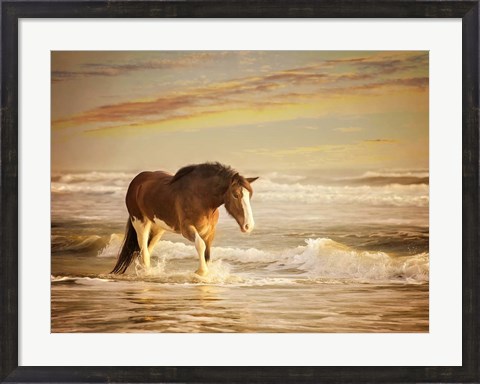 Framed Sunkissed Horses V Print