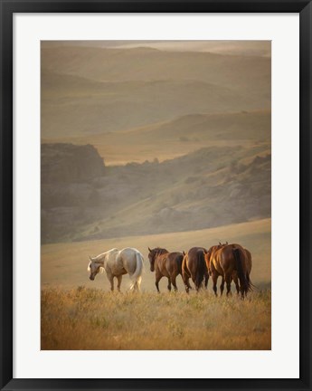 Framed Sunkissed Horses VI Print