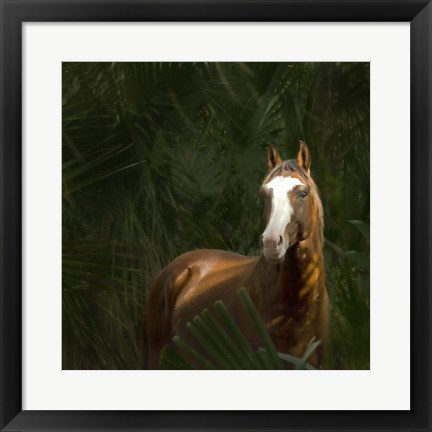 Framed Wild II Print