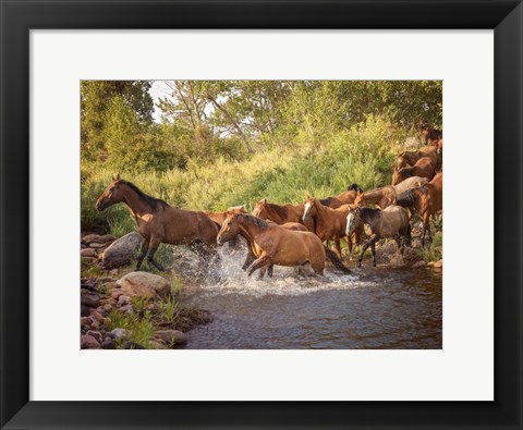 Framed River Horses II Print