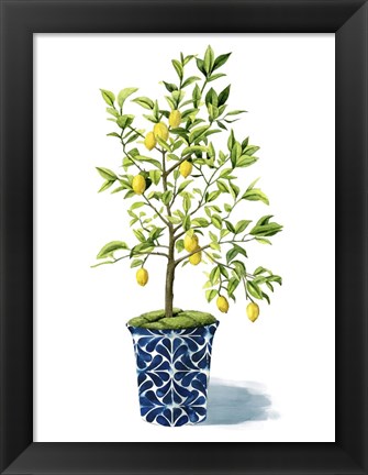 Framed Fruit Tree II Print