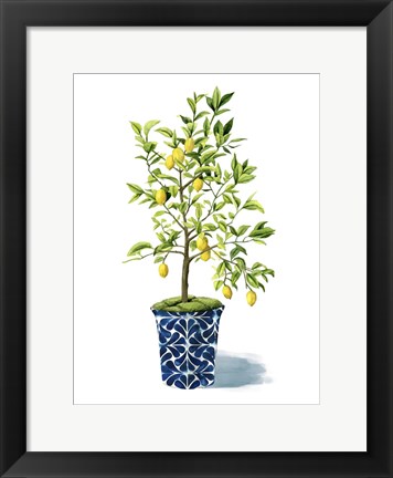 Framed Fruit Tree II Print