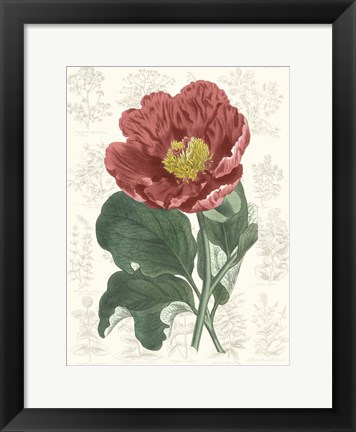 Framed Peony Flower Garden I Print