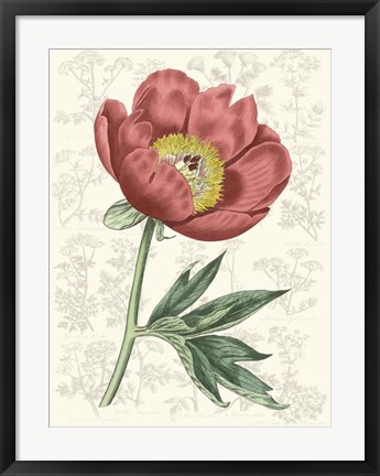 Framed Peony Flower Garden III Print