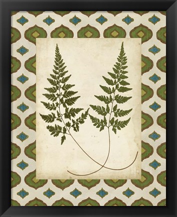 Framed Moroccan Ferns I Print