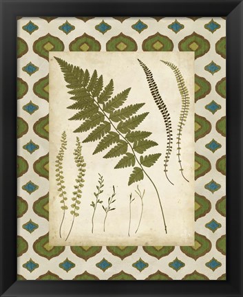 Framed Moroccan Ferns II Print