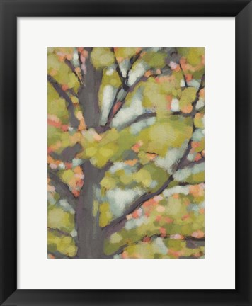 Framed Dappled Dusk II Print