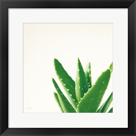 Framed Succulent Simplicity VI Neutral Print