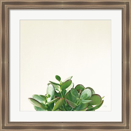 Framed Succulent Simplicity III Neutral Print