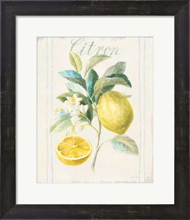 Framed Floursack Lemon IV v2 Print