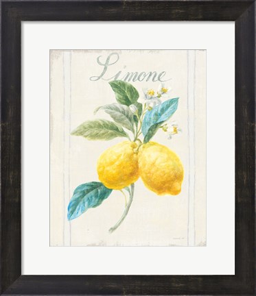 Framed Floursack Lemon III v2 Print