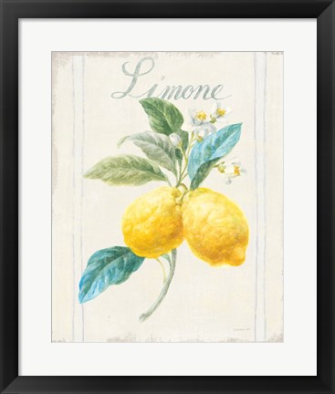 Framed Floursack Lemon III v2 Print