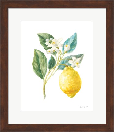 Framed Floursack Lemon I on White Print