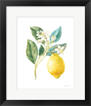 Framed Floursack Lemon I on White Print