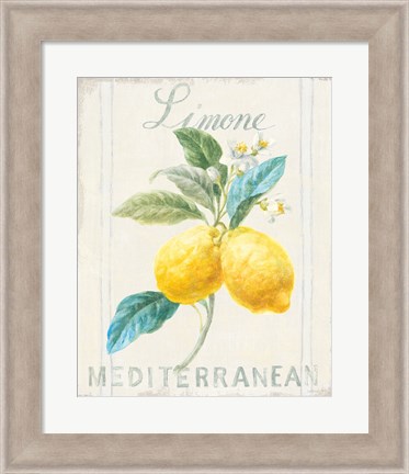 Framed Floursack Lemon III Print