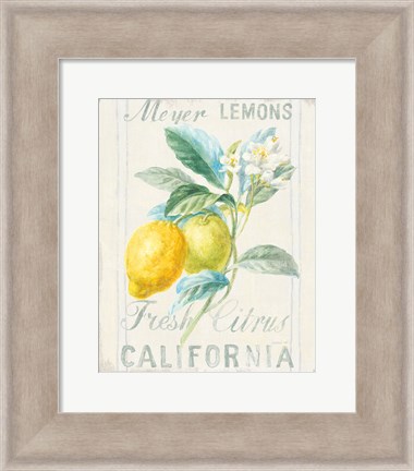 Framed Floursack Lemon II Print