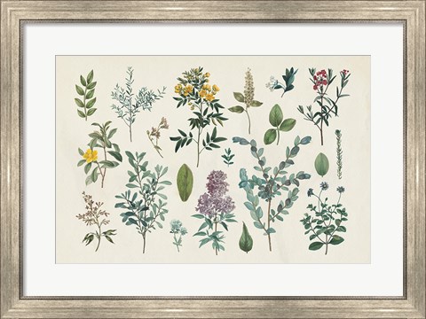 Framed Victorian Garden IV Print