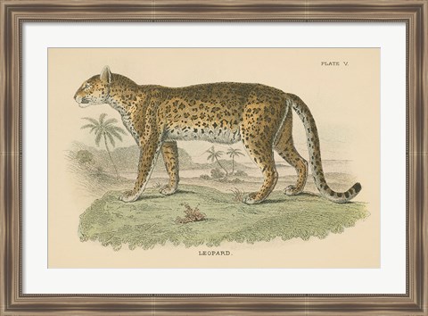 Framed Vintage Leopard Print