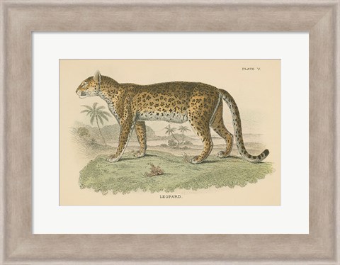 Framed Vintage Leopard Print