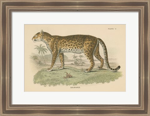 Framed Vintage Leopard Print