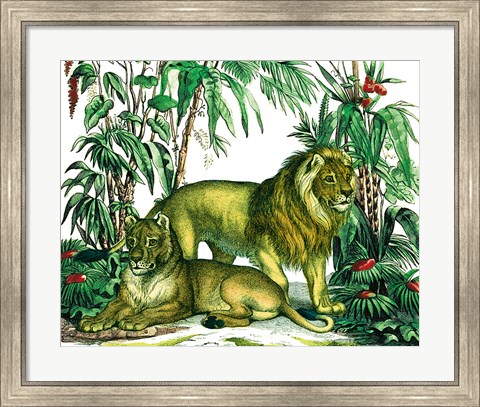 Framed Jungle Flair VI Print