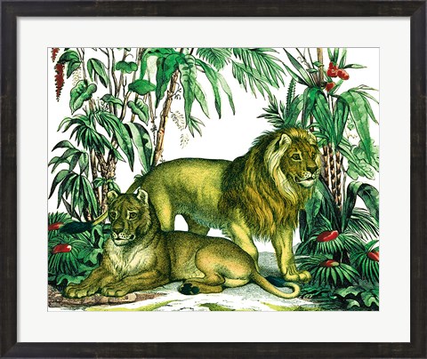 Framed Jungle Flair VI Print