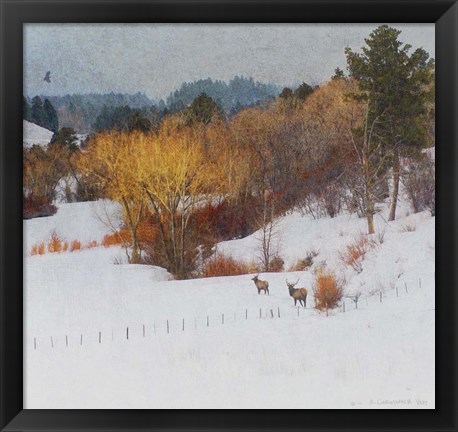 Framed Snowy Creek Elk Print