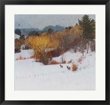 Framed Snowy Creek Elk Print