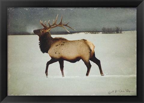 Framed Silver Mist Elk Print